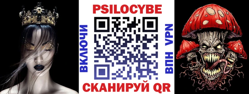 Псилоцибиновые грибы Psilocybe  Вязьма 